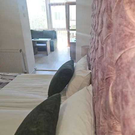 Hotel Priyateli - Friends